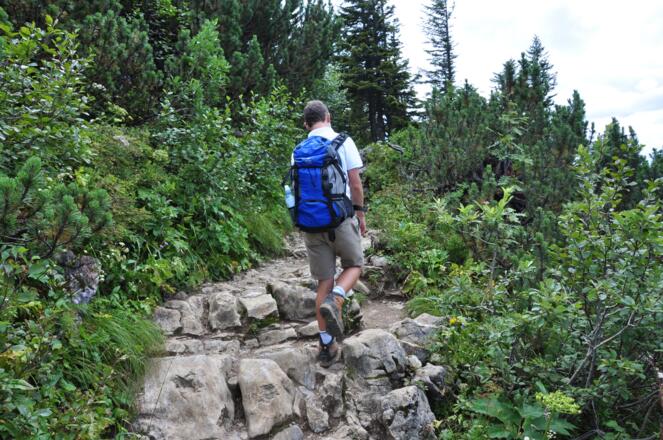Kurz hinter der Taubensteinbahn - Der Steig hinüber zum Rotwandhaus