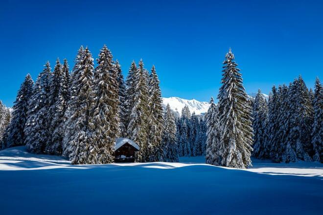 web - 04. Februar 2019 - L1130602