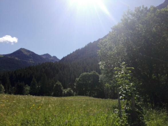 Mittelberg