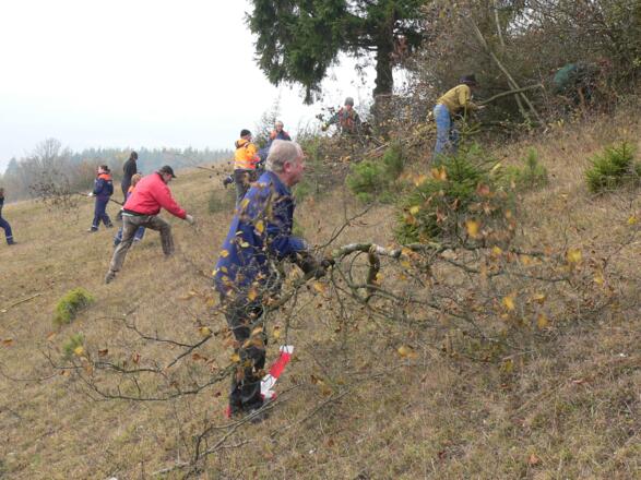 Bürger bewahren die Trockenrasen vor Verbuschung.