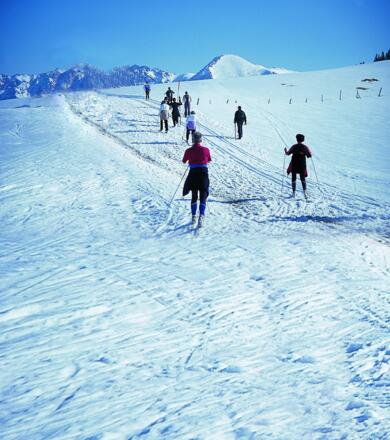Langlaufen auf der Postalm