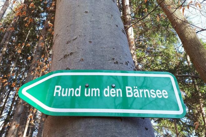 Wanderweg Rund um den Bärensee