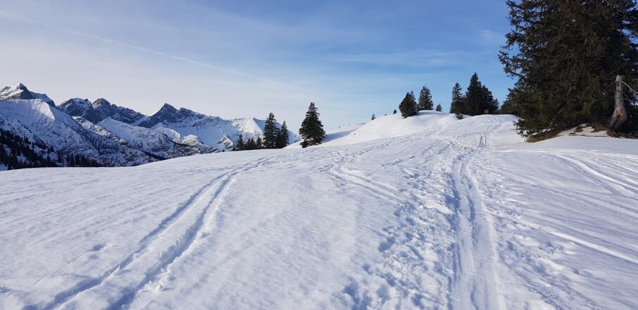 Schneeschuhwanderung Almengebiet Brandenberg