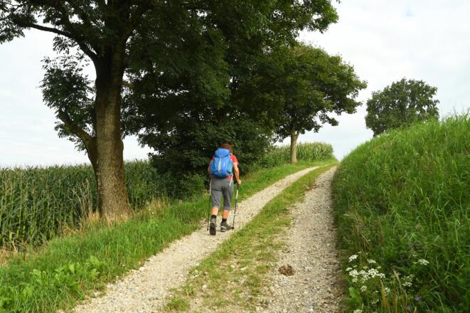 Unterwegs in Richtung Pabneukirchner Bundesstraße