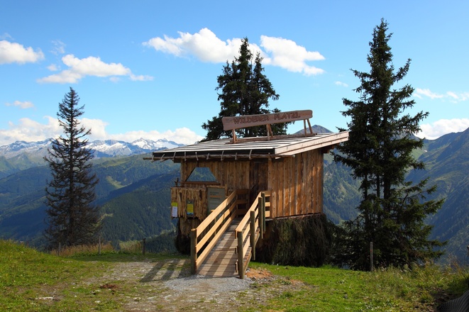 Wilderer Platzl