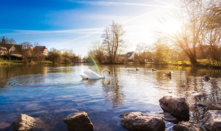 Der Stadtweiher in Hilpoltstein