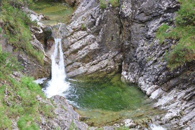 Immer wieder ein Augenschmaus: Die vielen Gumpen im Pfanngraben