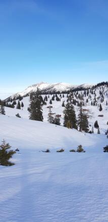 Schneeschuhwanderung Almengebiet Brandenberg