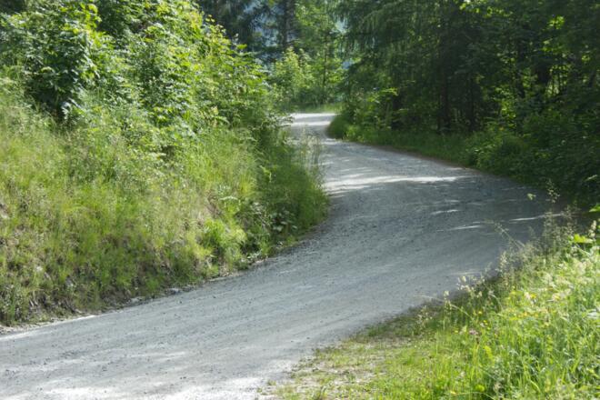Guter Forstweg - angenehm zu fahren