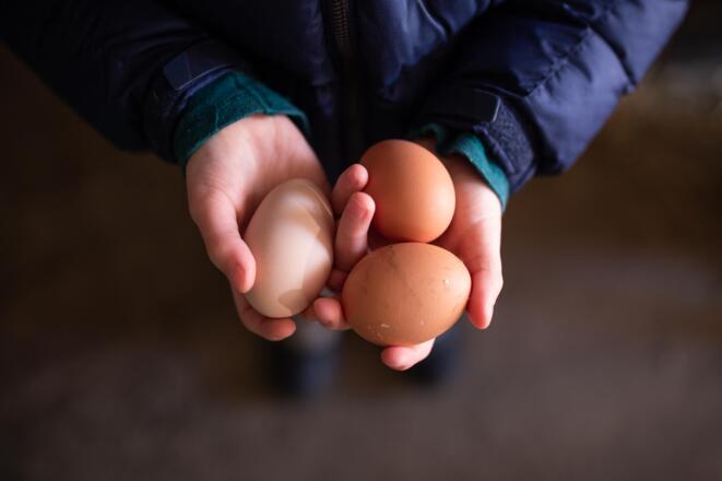 Bio-Eier im Selbstbedienungsladen Haslachhof