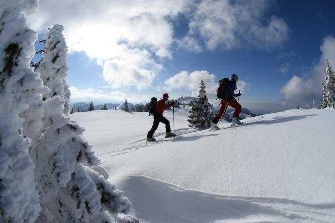 Am Vorgipfel des Hirschbergs. Auf den Übergang zum Hauptgipfel sollte man aus Wildschutzgründen besser verzichten.
