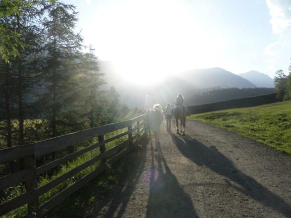 Sie reiten in den Sonnenuntergang