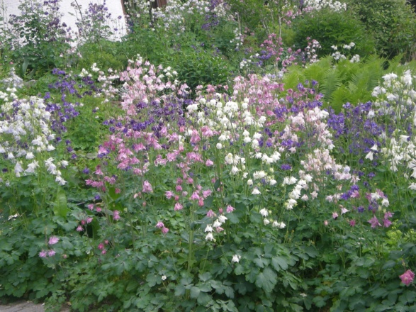 10_garten2
