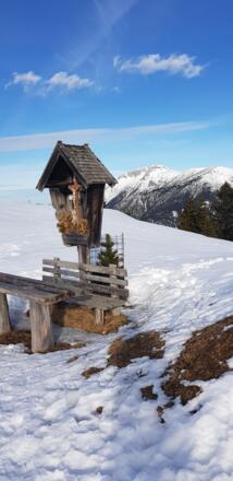 Schneeschuhwanderung Almengebiet Brandenberg
