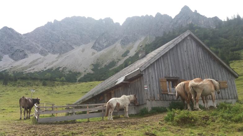 Almhütte mit Pferden vor dem Galinagrat.