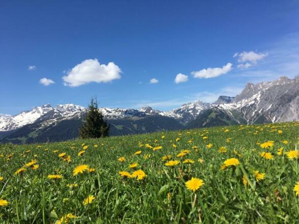 Natur