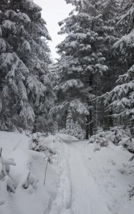 coole Pfade auf den Pröller