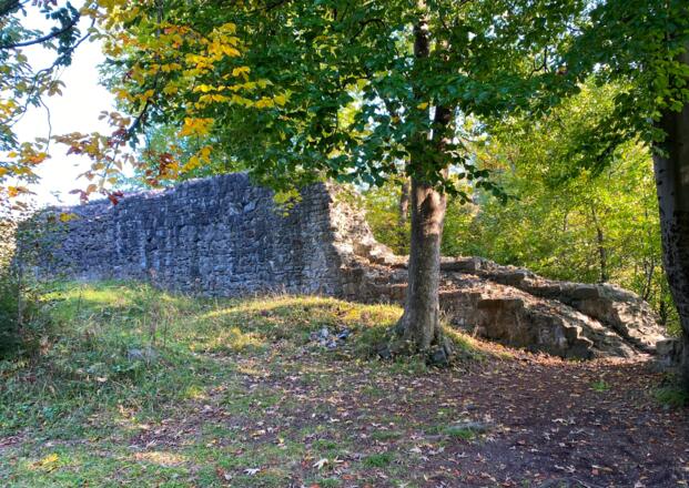 Ruine Sigberg, Göfis