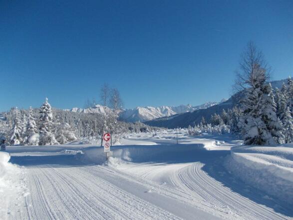 Berghof Felder-Loipe am Haus