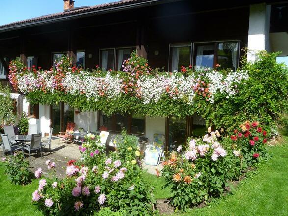 Blütenpracht im Wandersommer - Gästehaus Weitnauer
