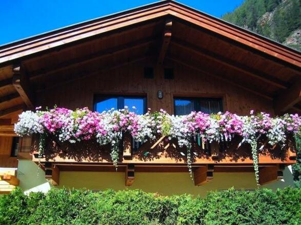 Südseite mit Balkon