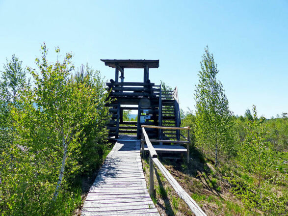 Aussichtsturm an der Nicklheimer Filze