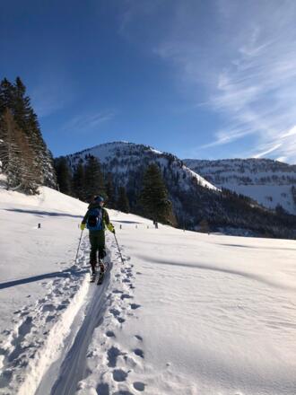 Querung über die Alm zum Hohen Zinken