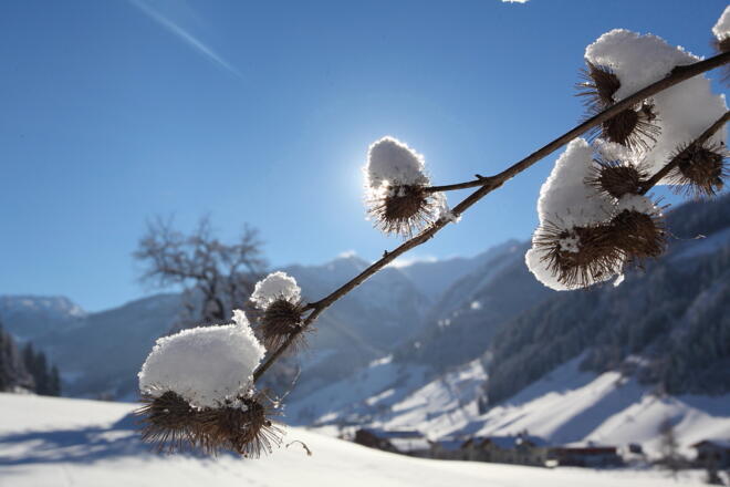 Winterlandschaft