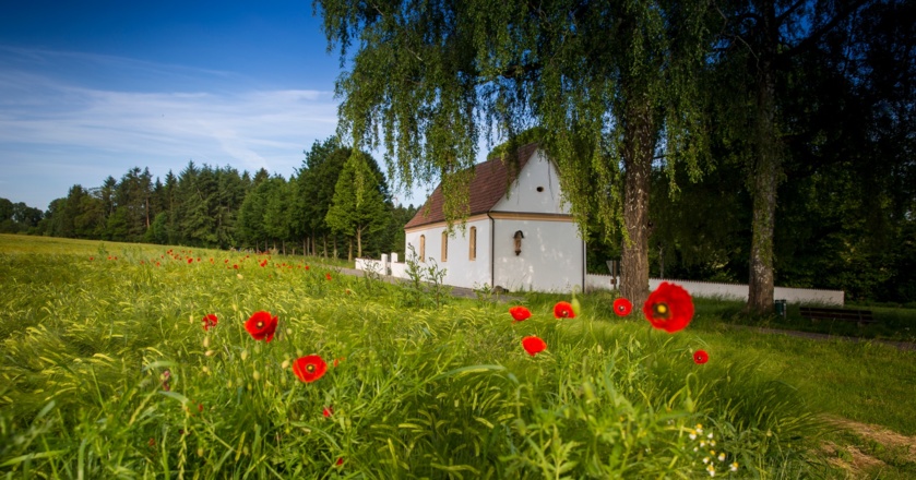 Wunderschöne Landschaft entlang des Bäderradweges
