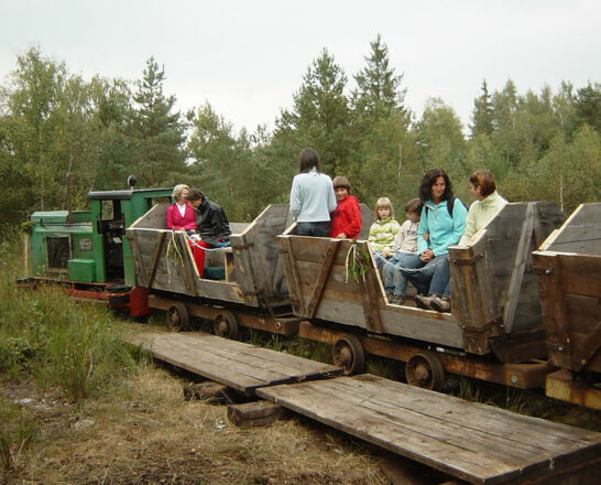 Bockerlbahn der Nicklheimer Filze.