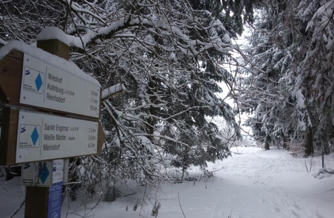 über den Baierweg zurück nach Sankt Englmar