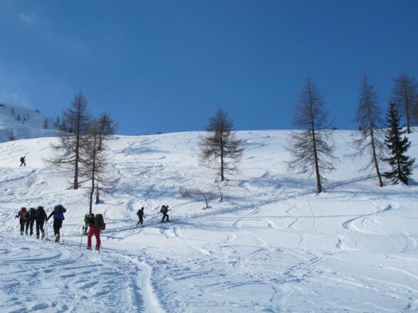 Über der Waldgrenze