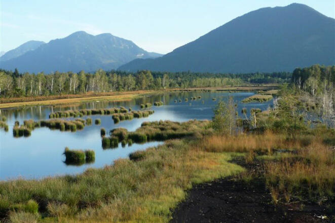 Moorstation Nicklheim mit Bergblick.