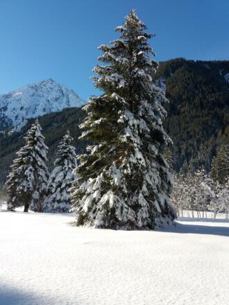 20190120_143634 (002)