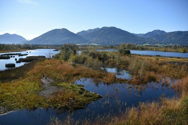 Aussichtsturm Nicklheimer Filze Sommer