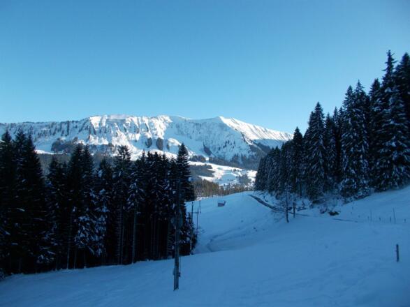 Blick-vom-BerghofFelder