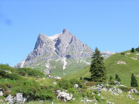 Widderstein