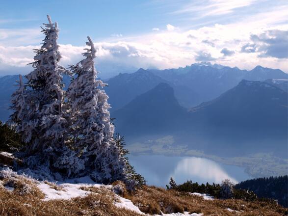 Beim Abstieg zum Reiningspitz 1460m mit Gosaukamm.