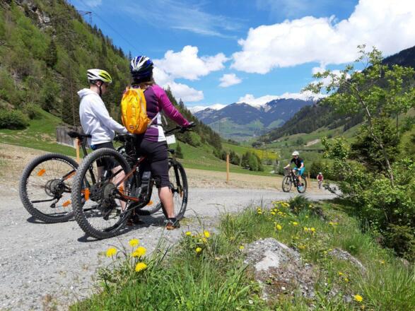 MTB 2019-3