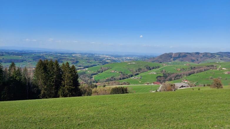 Ternberg Blick vom Reitnerberg ins Flache