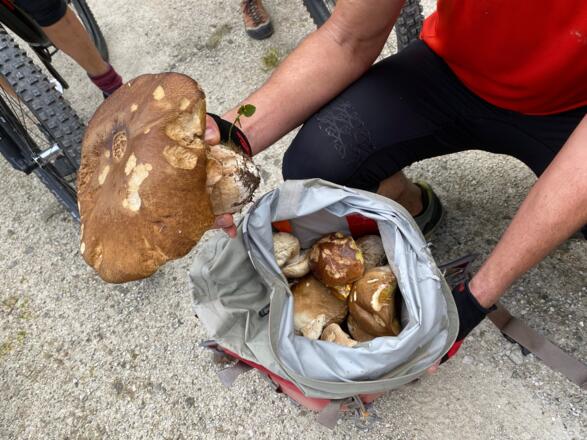 Auch das gibt es - zur richtigen Zeit!