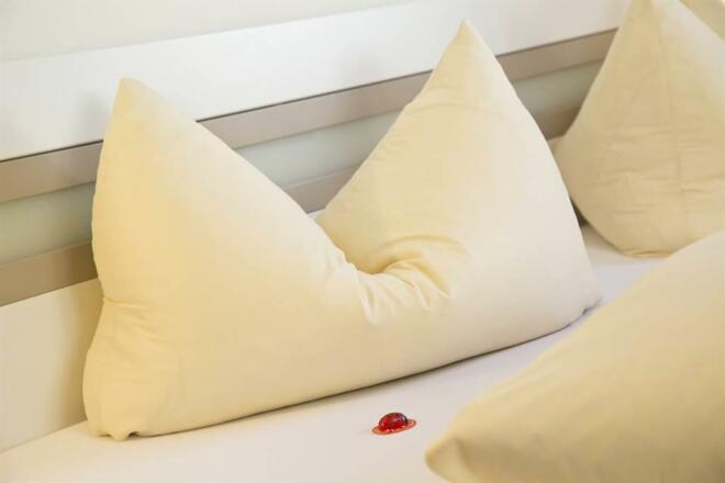 Appartement Alphotel Mittersill