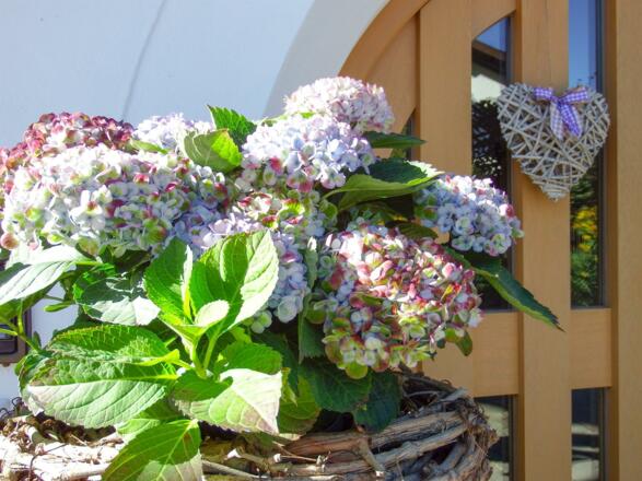 Herzlich Willkommen im Waldheim