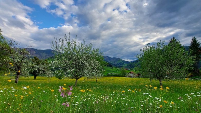 Großraming Haingrabeneck mit Blick in den Lumplgraben
