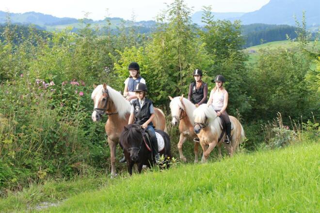 Reiterferien im Allgäu