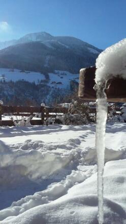 Bild Garten