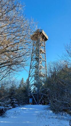 Dambergwarte im Winter