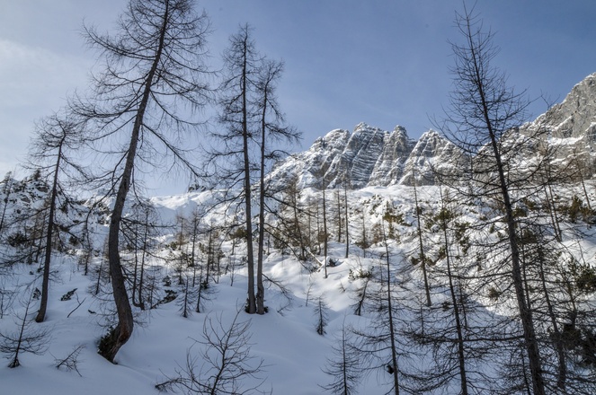Skitour Hochalm