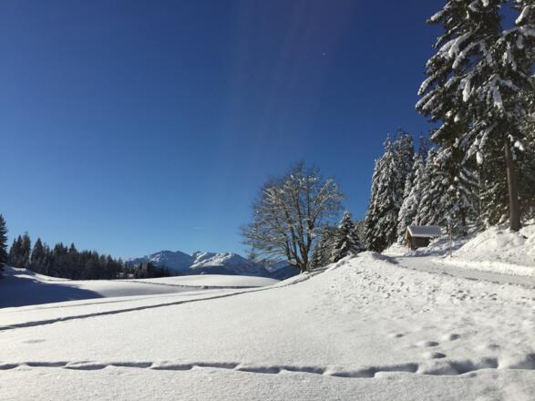 Schneeschuhwanderung am Reither Kogel