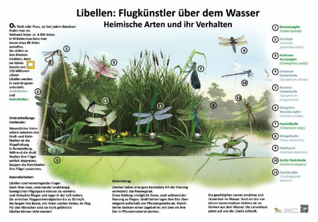 Amphibien- und Fischereilehrpfad